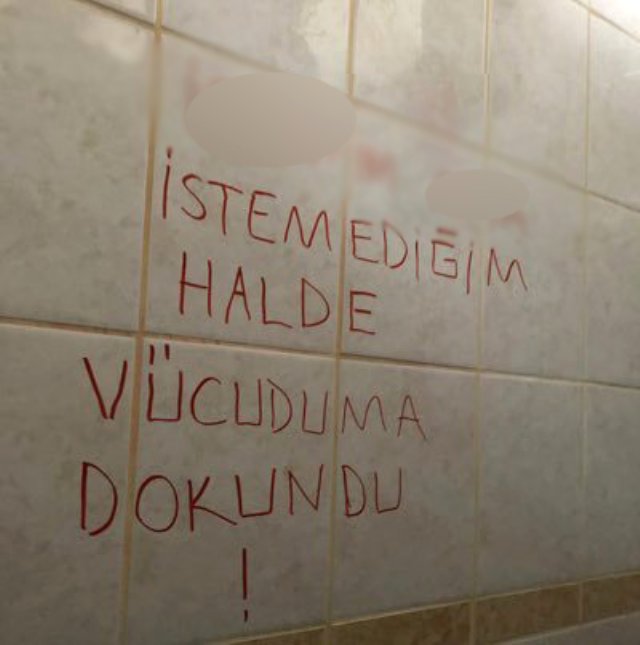 Tuvaletin duvarına yazılan &#39;taciz&#39; yazısı üniversiteyi karıştırdı!