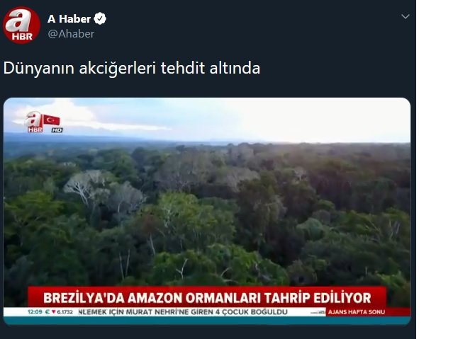 A Haber&#039;den yeni nesil penguen belgeseli: Her şey algı operasyonu