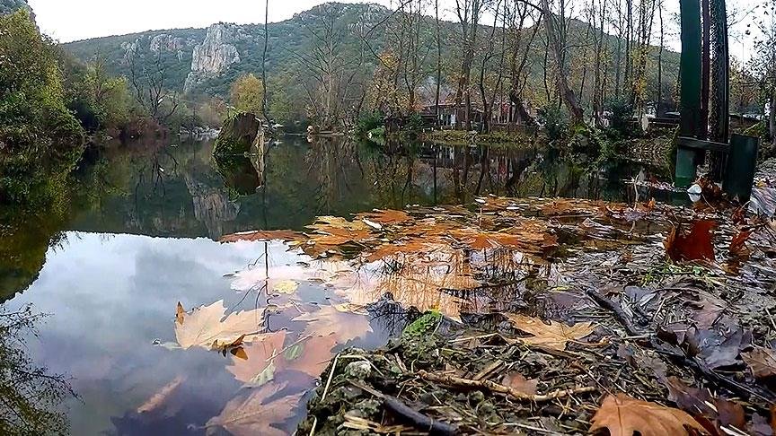 Bakanlıktan güldüren açıklama: Ağaca ‘çalı’ dedi, otoyolu ormandan geçirdi