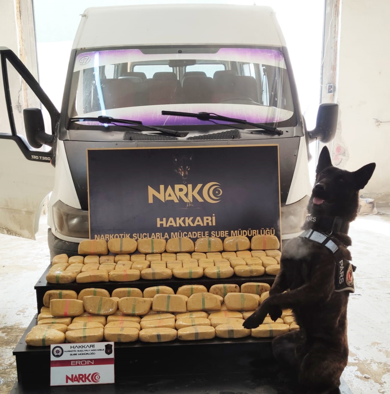 Narkotik köpegi &#39;Pars&#39; yine bir numara