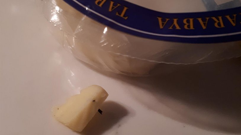 kasar2.jpg