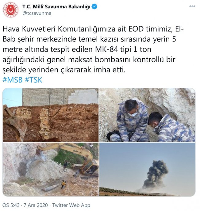 bo.jpg