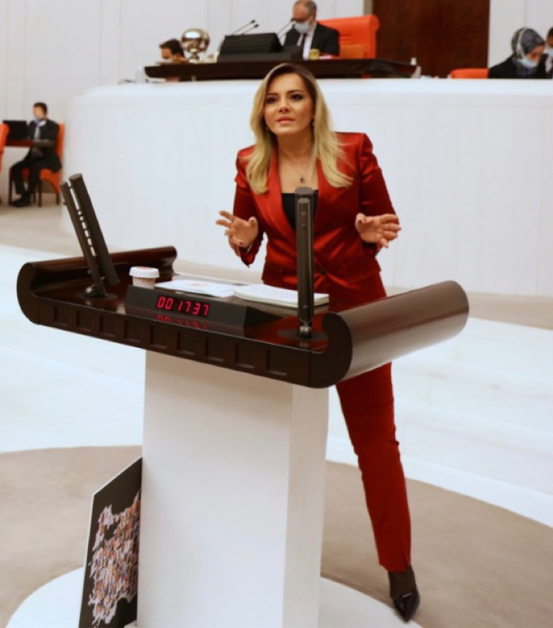 aylin-cesur-2.jpg
