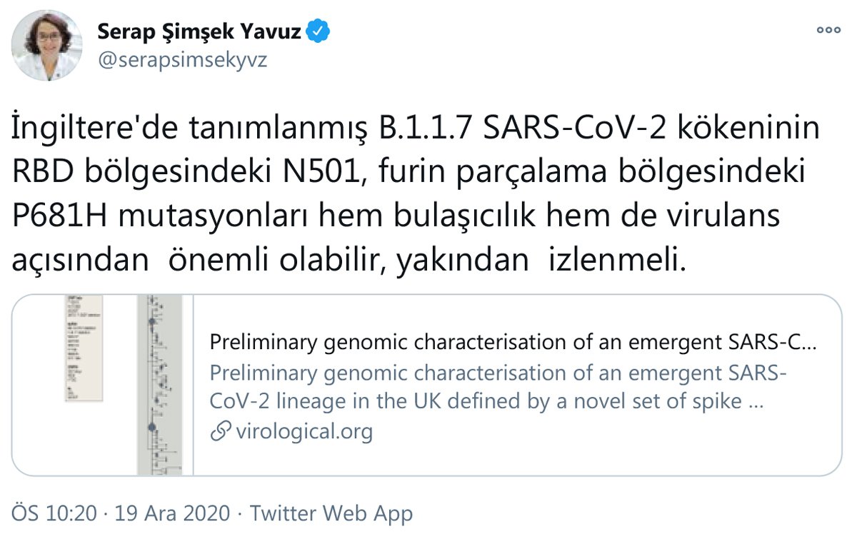 serap-simsek.jpg