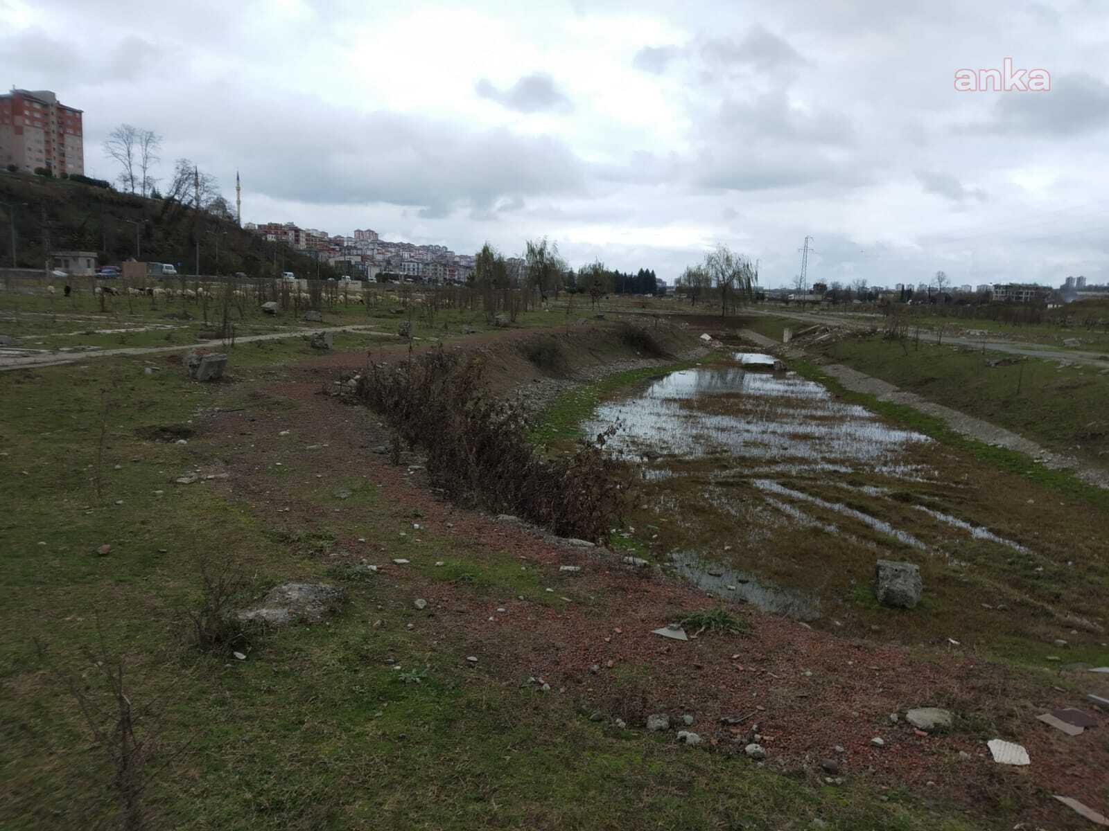 ordu-park-foto-2.jpg