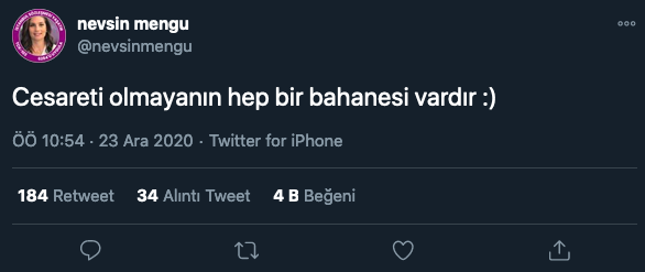 nevsin-mengu-tivit.png