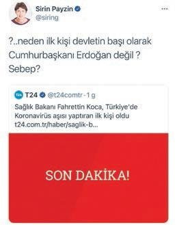 sirin.jpg