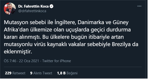 koca-t.jpg