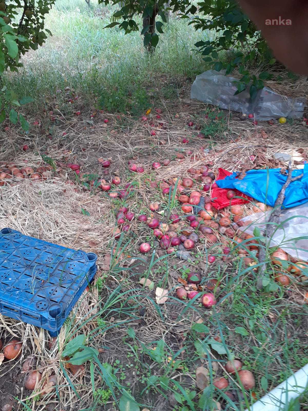 canakkale-1.jpg