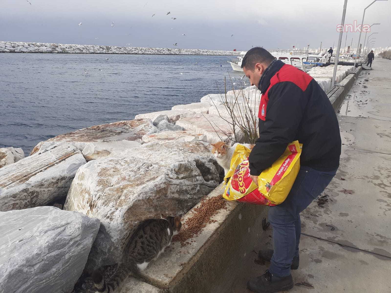 maltepe1.jpg