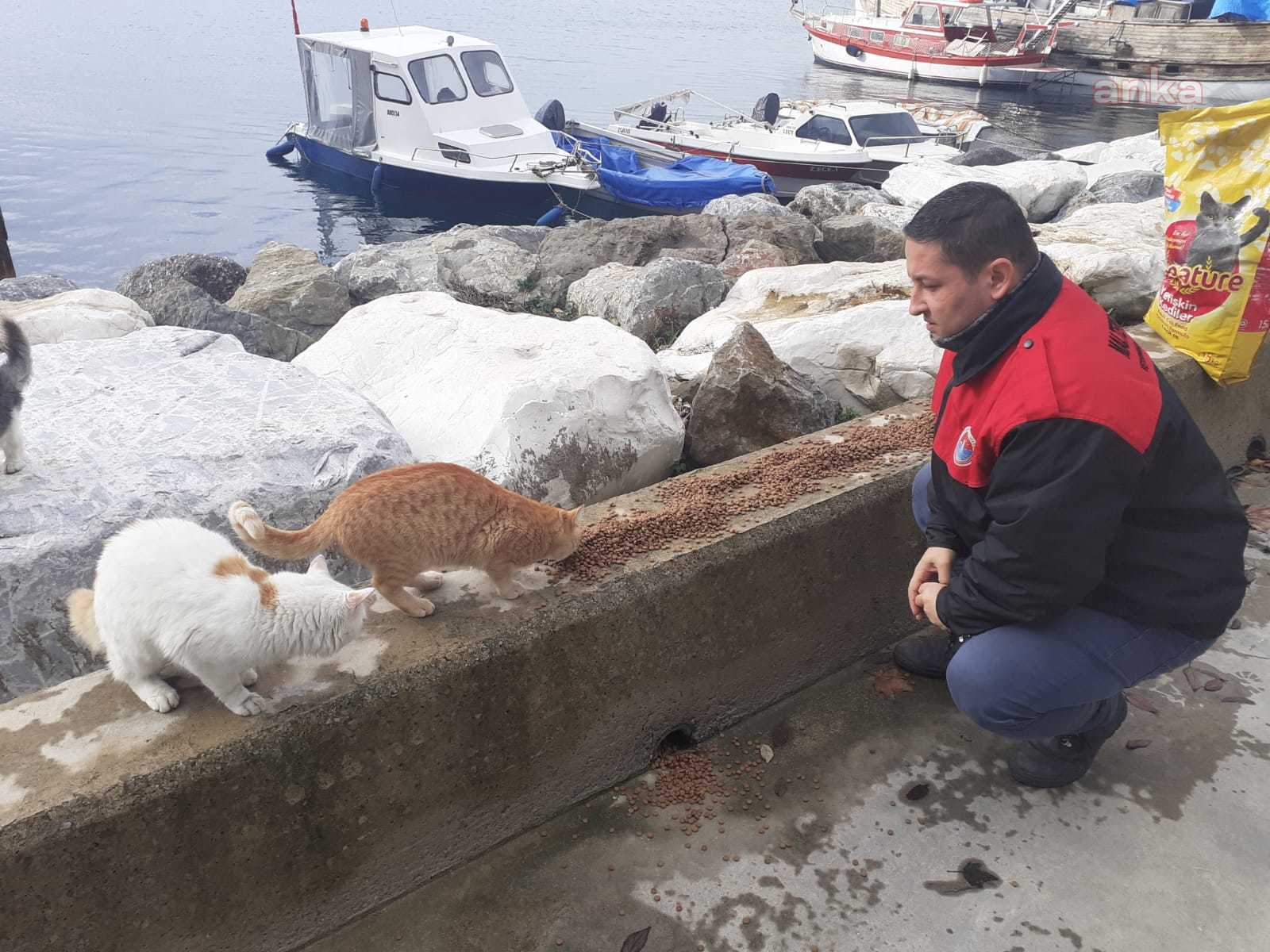 maltepe2.jpg