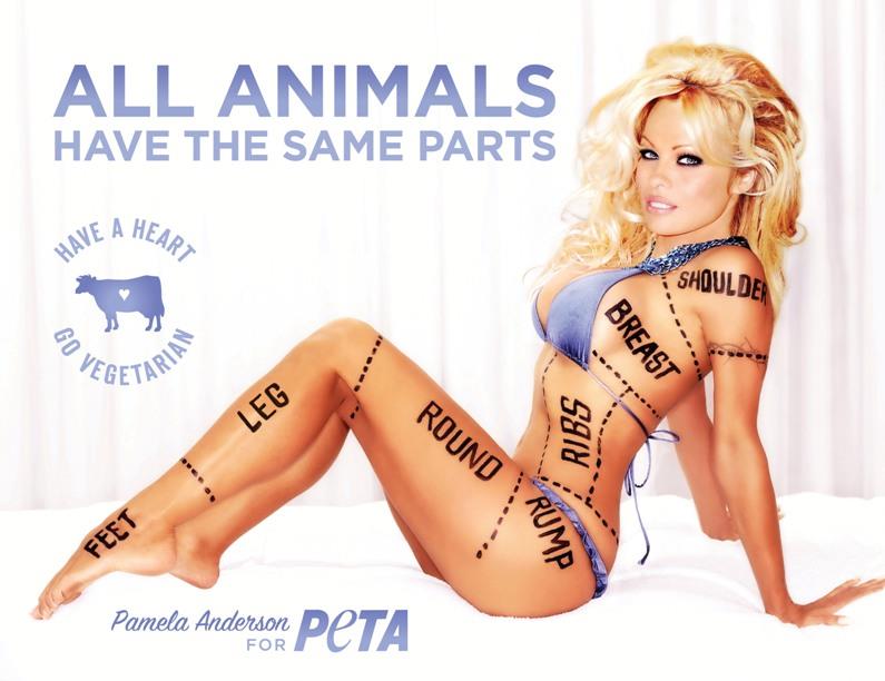 pamela-all-animals.jpg