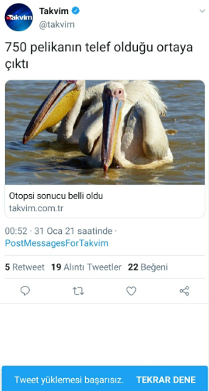 pelikan.png