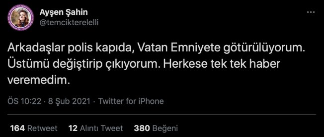 aysen.png