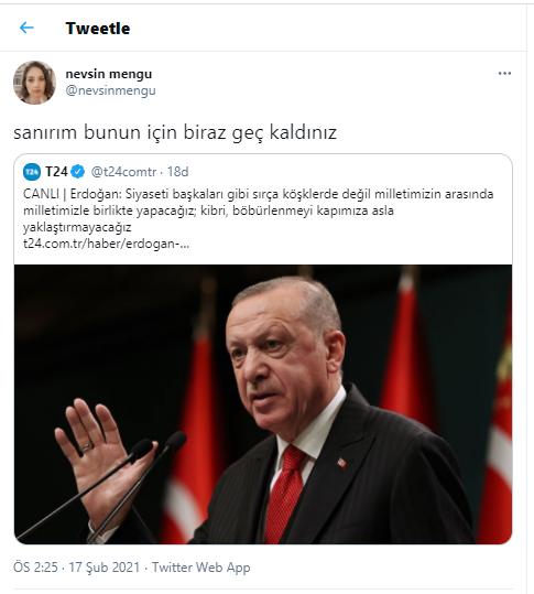 nevsin-mengu-yanit.png