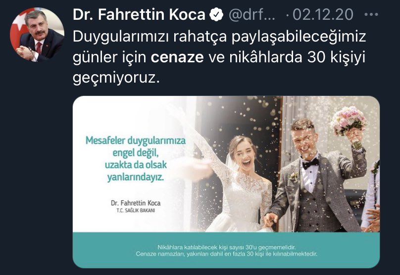 koca-1.jpg