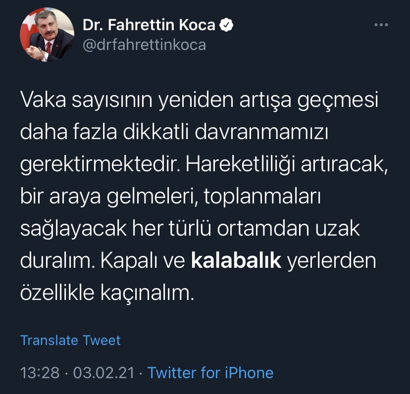 koca-2.jpg