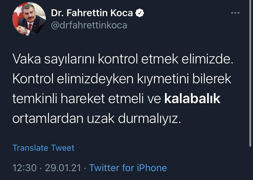 koca-3.jpg