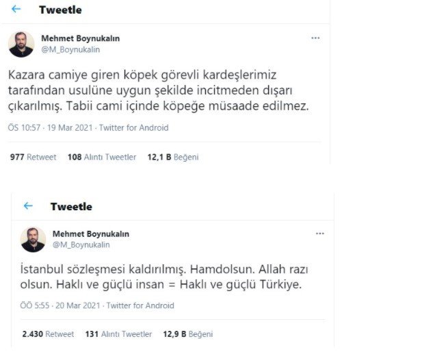 screenshot-3-ppnb.jpg