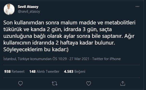 sevil-atasoy.jpg