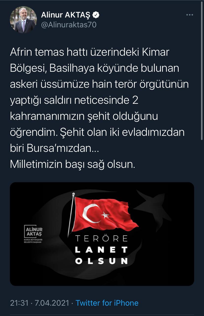 alinur-aktas.jpeg