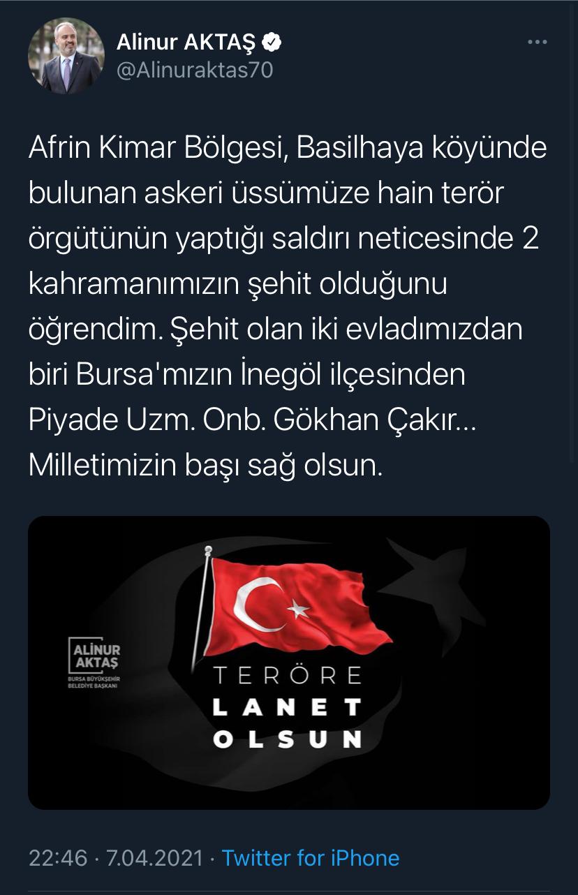 alinur1.jpeg