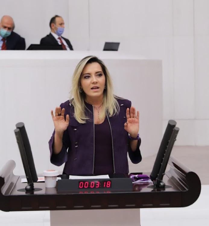aylin-cesur2.jpeg