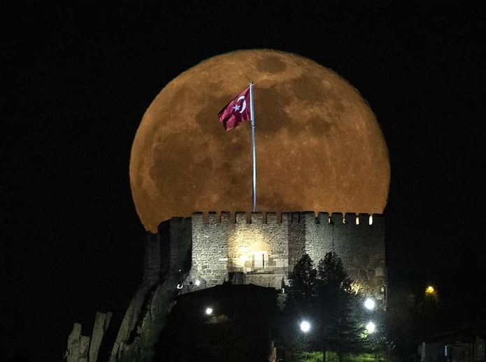alp-eren-kaya.png