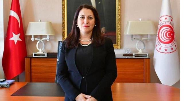 ticaret-bakan-yardimcisi-batur-gorevden-alindi-yerine-mustafa-tuzcu-atandi-mustafa-tuzcu-kimdir-1620432612.jpg