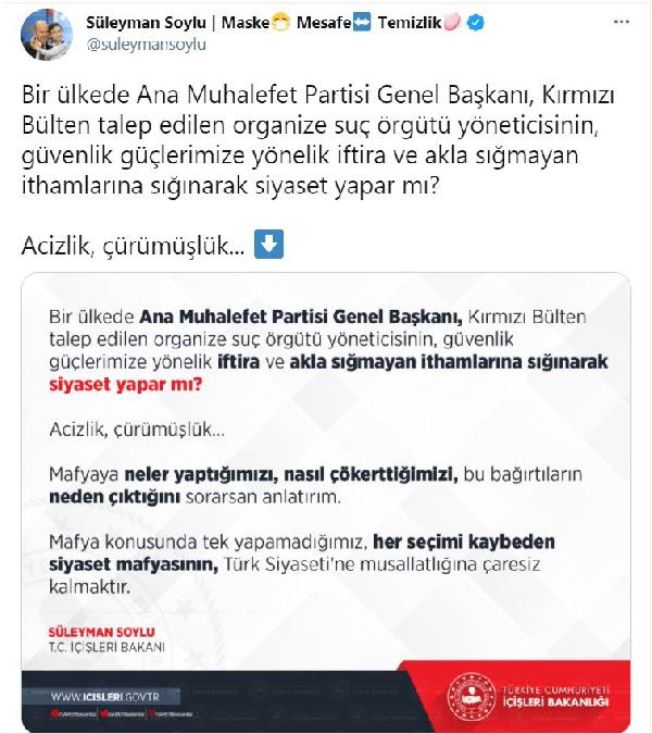 soylu.jpg