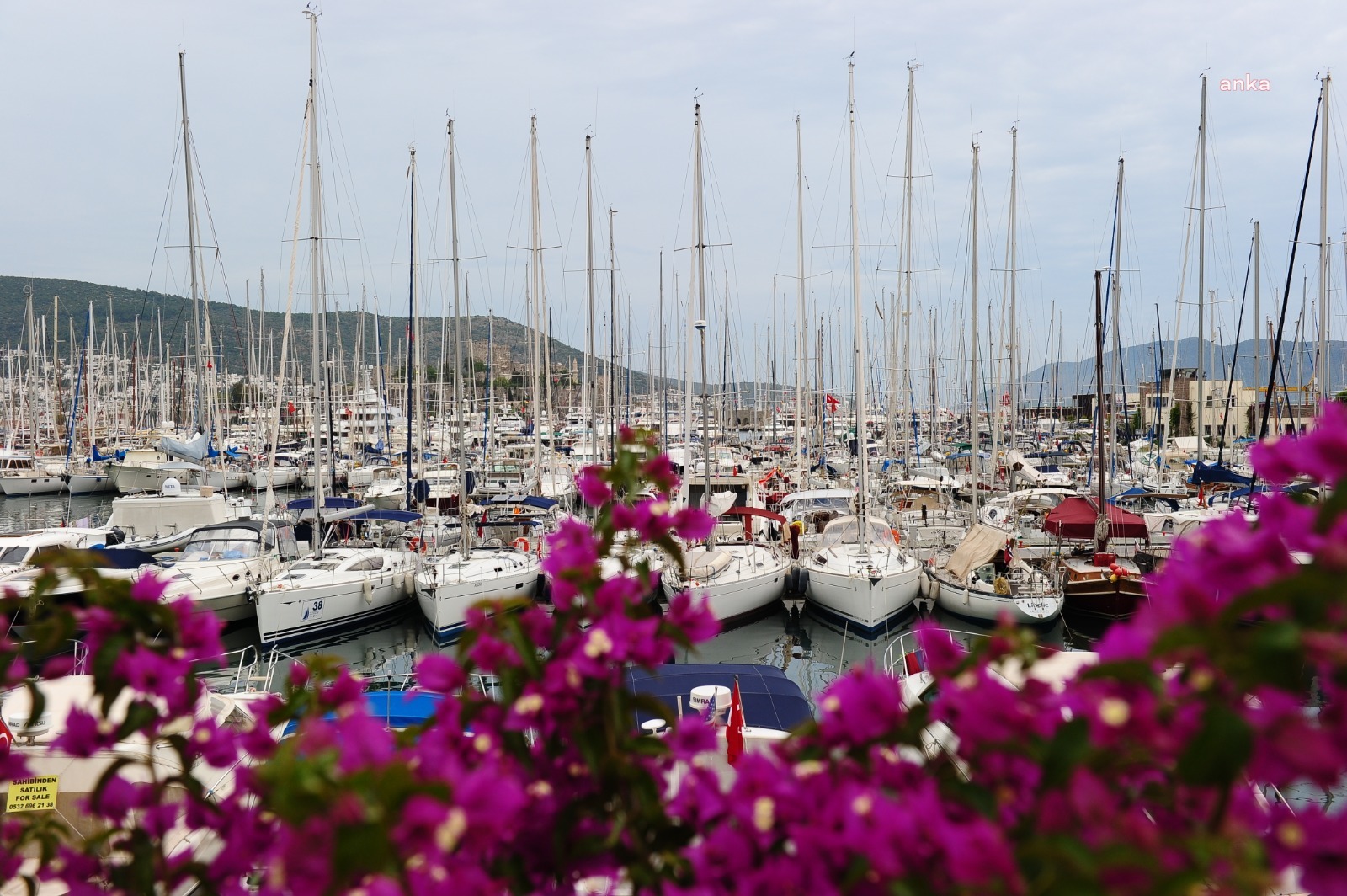 bodrum-festival-3.jpeg