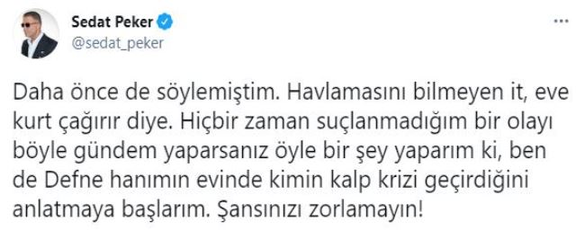 peker-defne-hanim-tweet.jpg