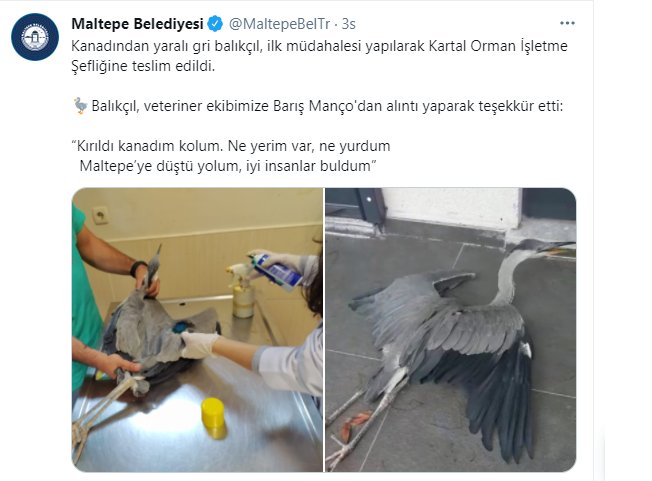 ekran-alintisi-005.png