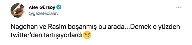 alev-gursoy.png