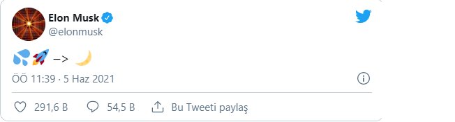 Elon Musk'ın emojisi alt coinleri coşturdu