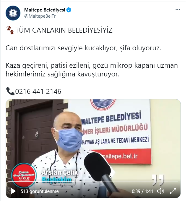maltepe.png