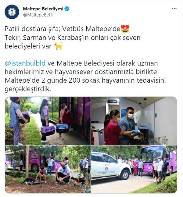 maltepe.png