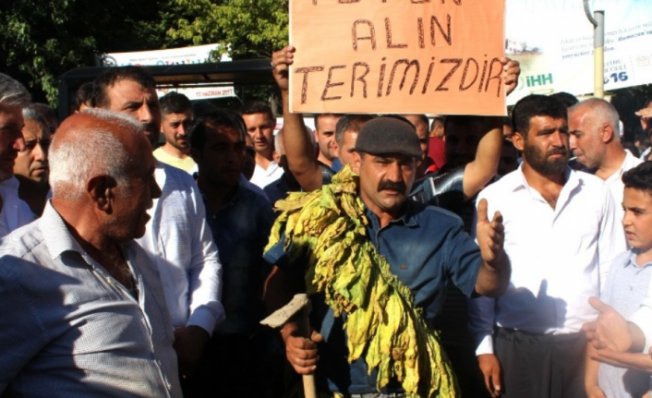 tutun-ureticileri-sabaha-karsi-tutuklandi-h41273-ba138.png