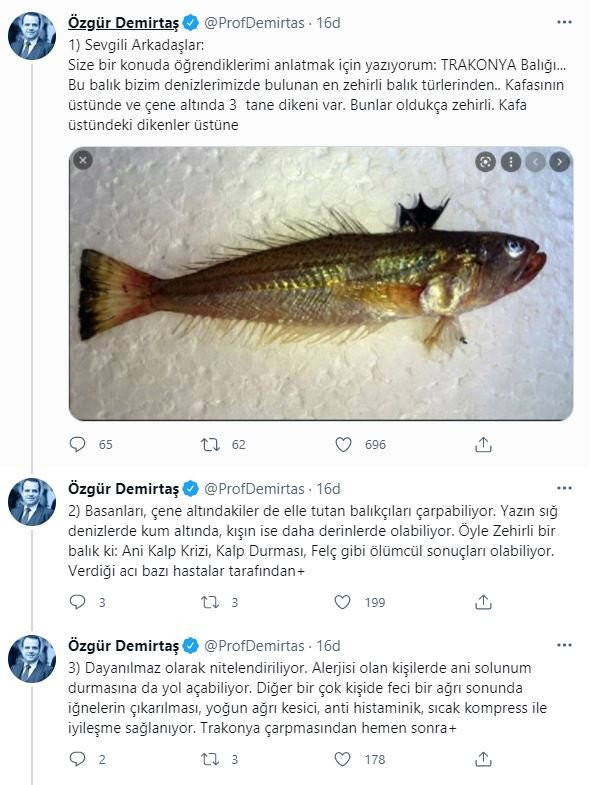 o1.jpg