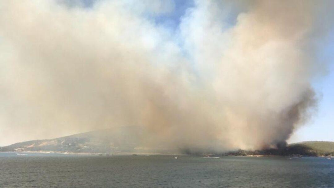 bodrum4.jpg