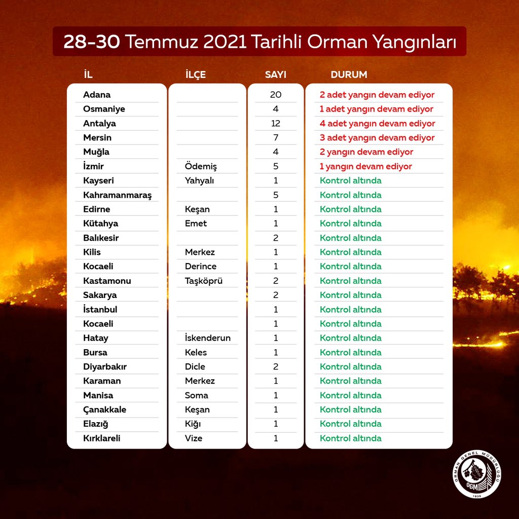 ogm3.jpg