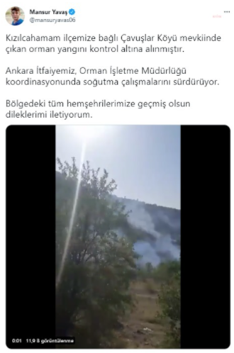 yavas.png