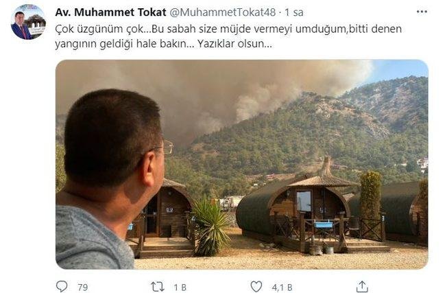 640xauto-1.jpg