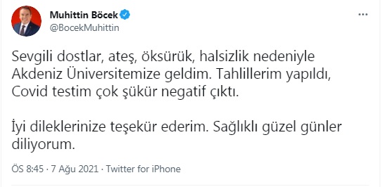 bocek.jpg