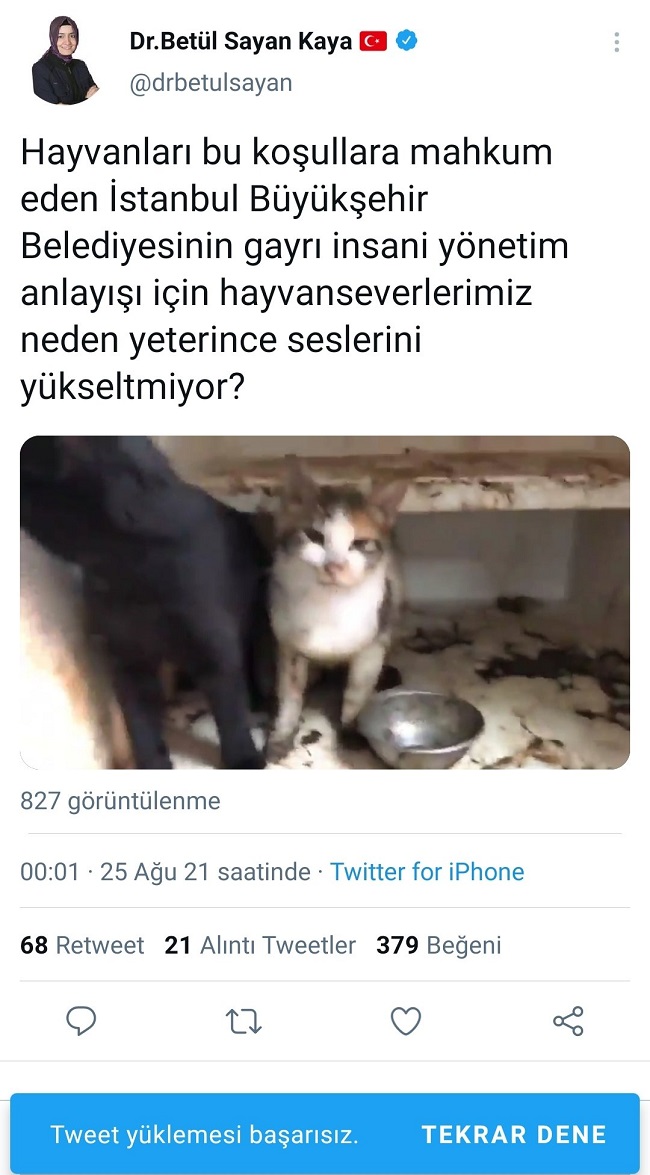 betul-kaya-ikinci-tiwit.jpg