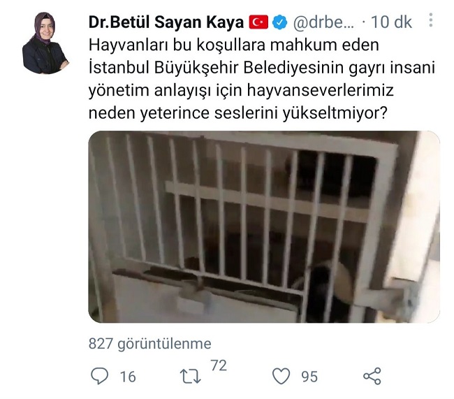 betul-kaya-ilk-tiwit.jpg