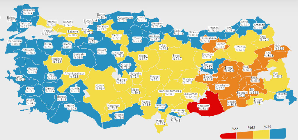 koca-3.jpg