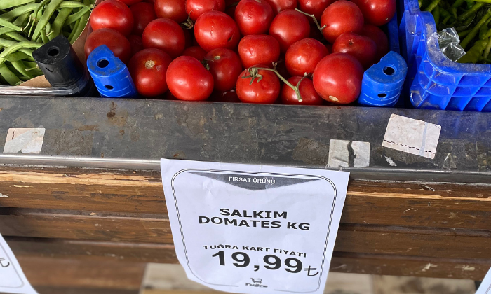 salkim-dolamtes.png
