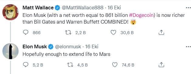 musk.jpg