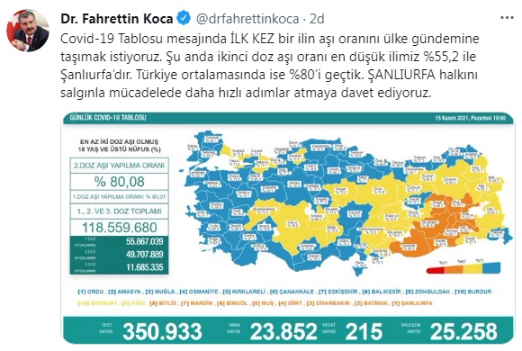 koca-1.jpg